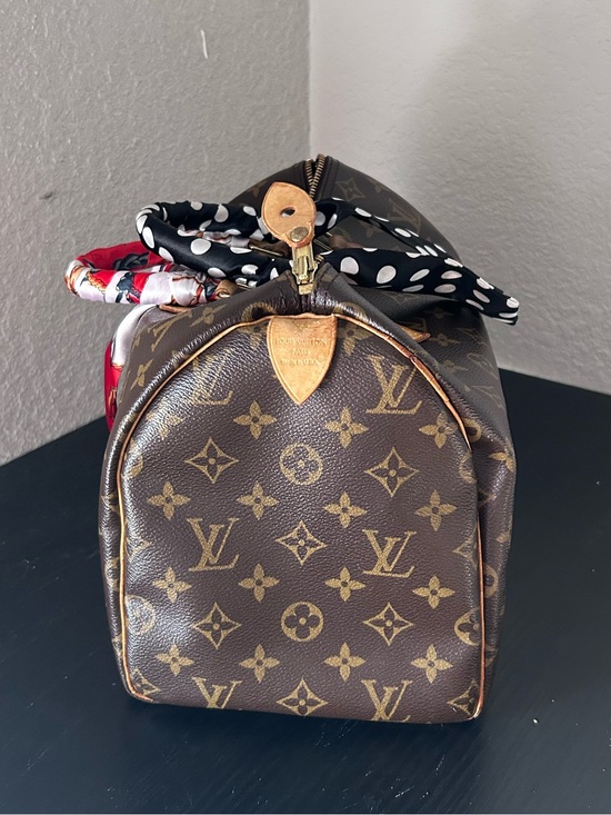 Louis Vuitton Handbags - Louis Vuitton Monogram Canvas  Handbag - Brown & Tan Speedy 30